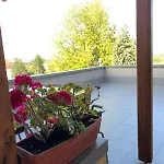 Apartmán M *