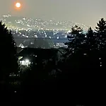 Apartmán M